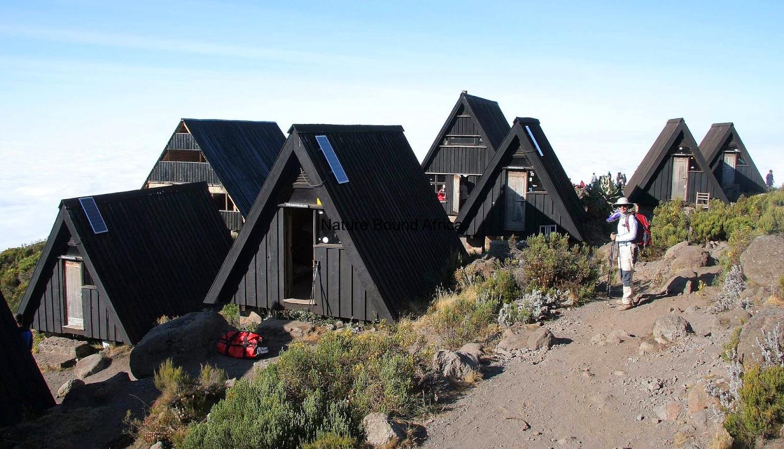 Day 21: From your hotel to Kilimanjaro national park